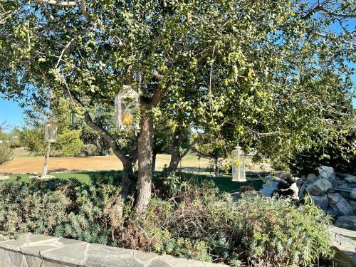 Staycation Secluded 3 Acre With Pool - Angel Ranch