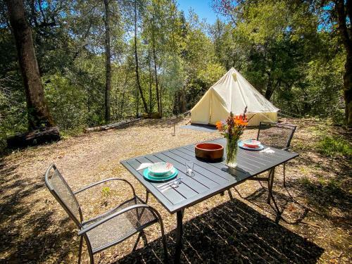 Glamping In The Redwoods
