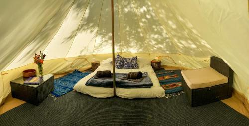 Glamping In The Redwoods