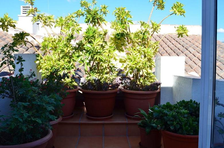Apartamentos San Pablo