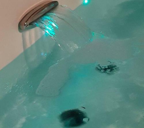 Le G�te O'salamandre Avec Spa