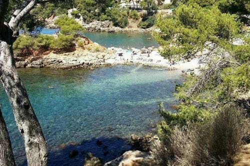 Apartamento Charming 35m In The Centre - Near The Beach