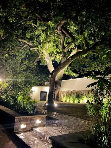 Tatala Hotel & Garden
