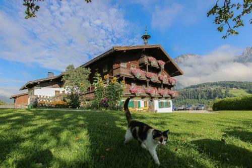 Bed & Breakfast Hainzbauer