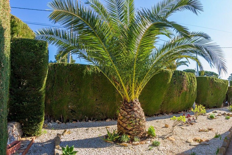 Holiday Villa Jacaranda