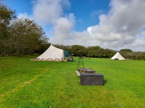 Sycamore Yurt Award Winning Wych Elm Glamping