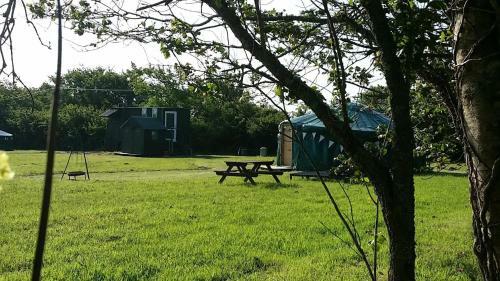 Sycamore Yurt Award Winning Wych Elm Glamping