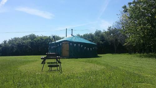Sycamore Yurt Award Winning Wych Elm Glamping