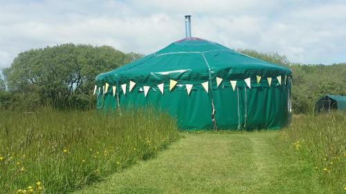 Sycamore Yurt Award Winning Wych Elm Glamping
