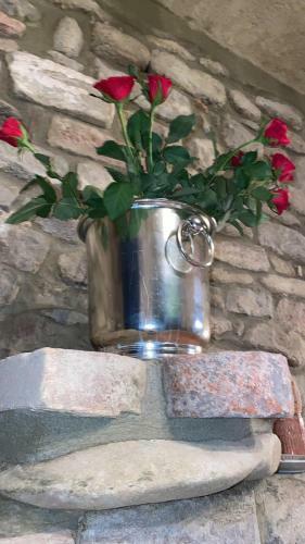 Apartamento I Catari ...nel Cuore Di Monforte D'alba