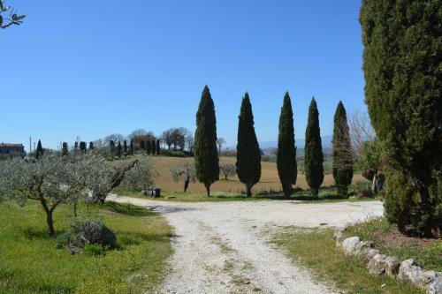 Villa Scappo In Umbria, Casale Monti