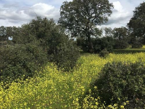 Preciosa Finca Privada 20 Hect�reas