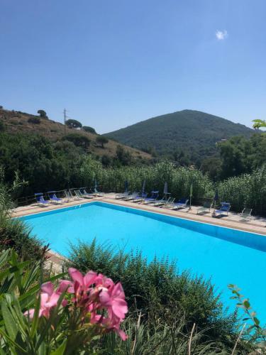 Apartamento Appartamento Con Piscina