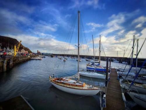 Haddock Hideaway By The Sea - Old Town Scarborough