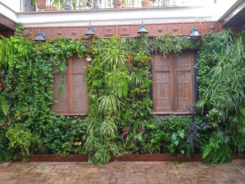 Curioso Apartamento Tipo Loft de 25 M Cuadrados