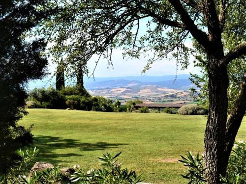 Romantic Lodge At Scansano With Shared Swimming Pool
