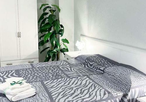 Hostal Casa Regina Margherita