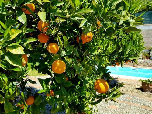 Apartamento Moonlight Country House With Pool