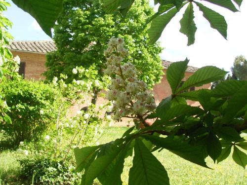 Villa Poggio Al Sole
