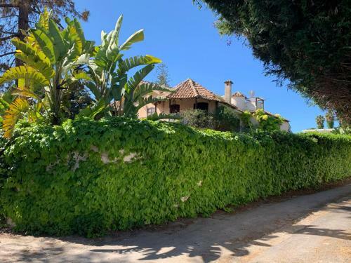 Villa Elisa