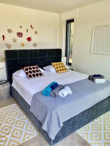 Superb Villa With Private Swimming Pool Near The Beach