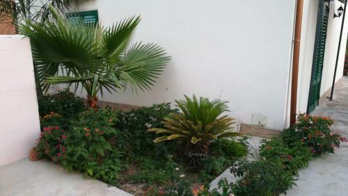 Jardinu