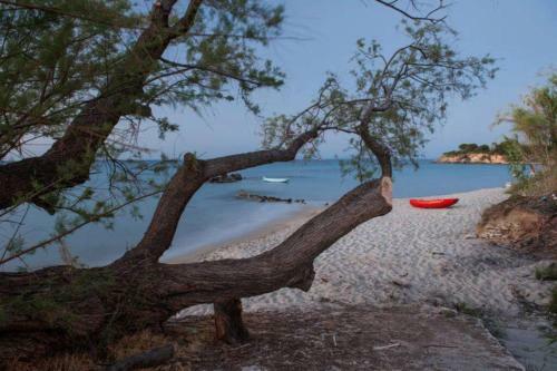 Apartamento Relaxing Sea View Studio At Xenios Avlais