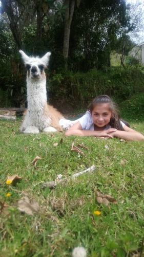 Lodge Hotel Orqu�deas Runtun