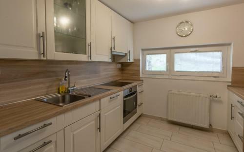 Apartamento Vineyard Cottage Ho?evar