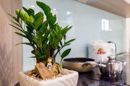 Studio Serviced Apartment - Phu Nhuan Center
