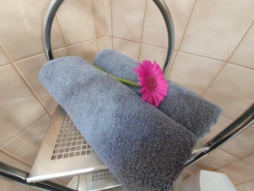 Bed & Breakfast Pension Thermenland