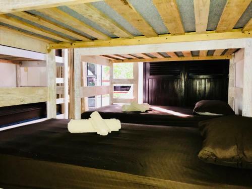 Hostal Bunk Bed In Female Dormitory Room