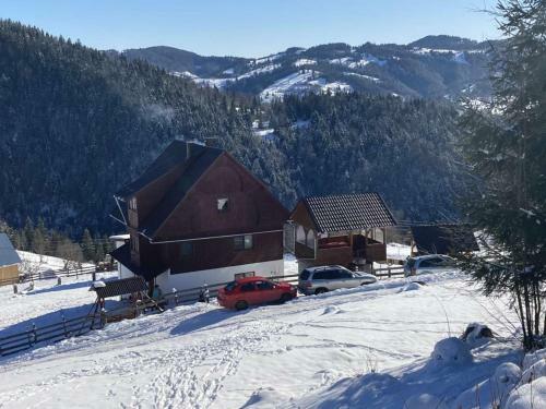 Hostal Pensiunea Amalia
