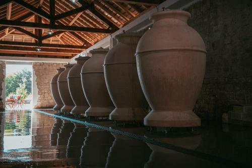 Hostal Crama Apogeum
