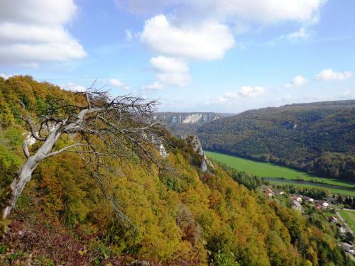 Hostal Landgasthof Unger