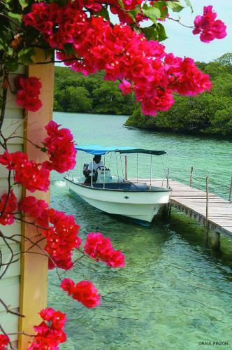 Hotel Punta Caracol Acqua Lodge