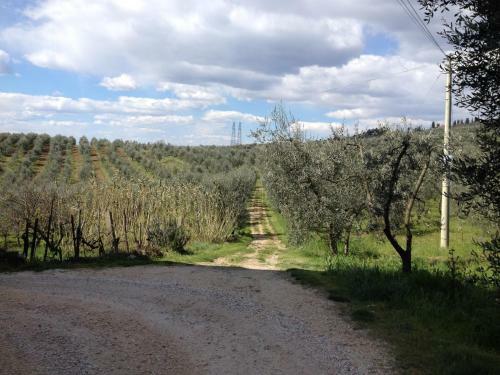 Agroturismo Agriturismo Il Viaio