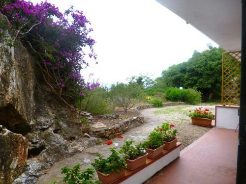 Apartment Rio Marina 1