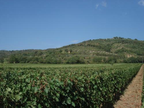 Agroturismo Agriturismo La Fontanella