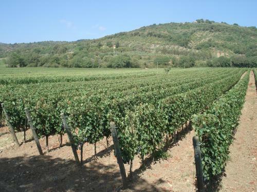 Agroturismo Agriturismo La Fontanella