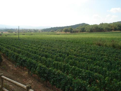 Agroturismo Agriturismo La Fontanella