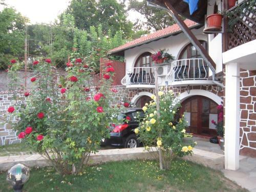 Hotel The Beautiful House