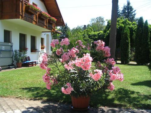 Hostal Sommer Panzi�