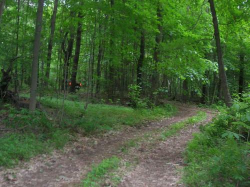 Golden Pathways Retreat B&B