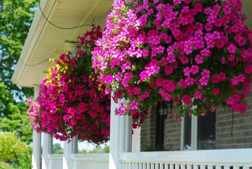 Golden Pathways Retreat B&B