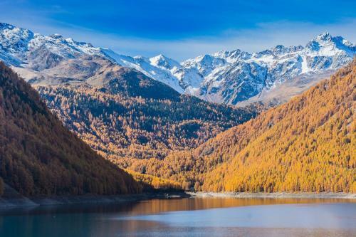 Berghotel Tyrol
