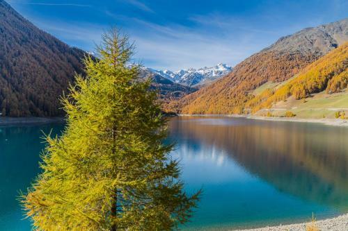 Berghotel Tyrol