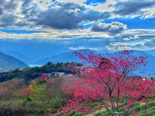 Tian Hsiang Tea B&B