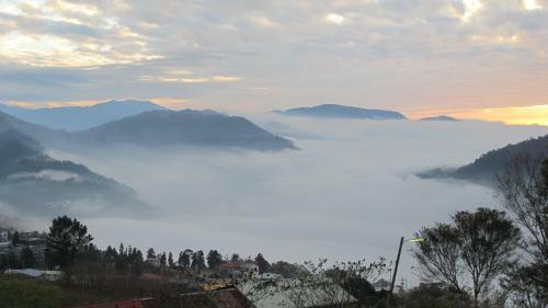 Tian Hsiang Tea B&B