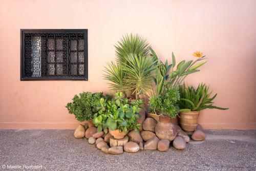 Bed & Breakfast Dar Maktoub